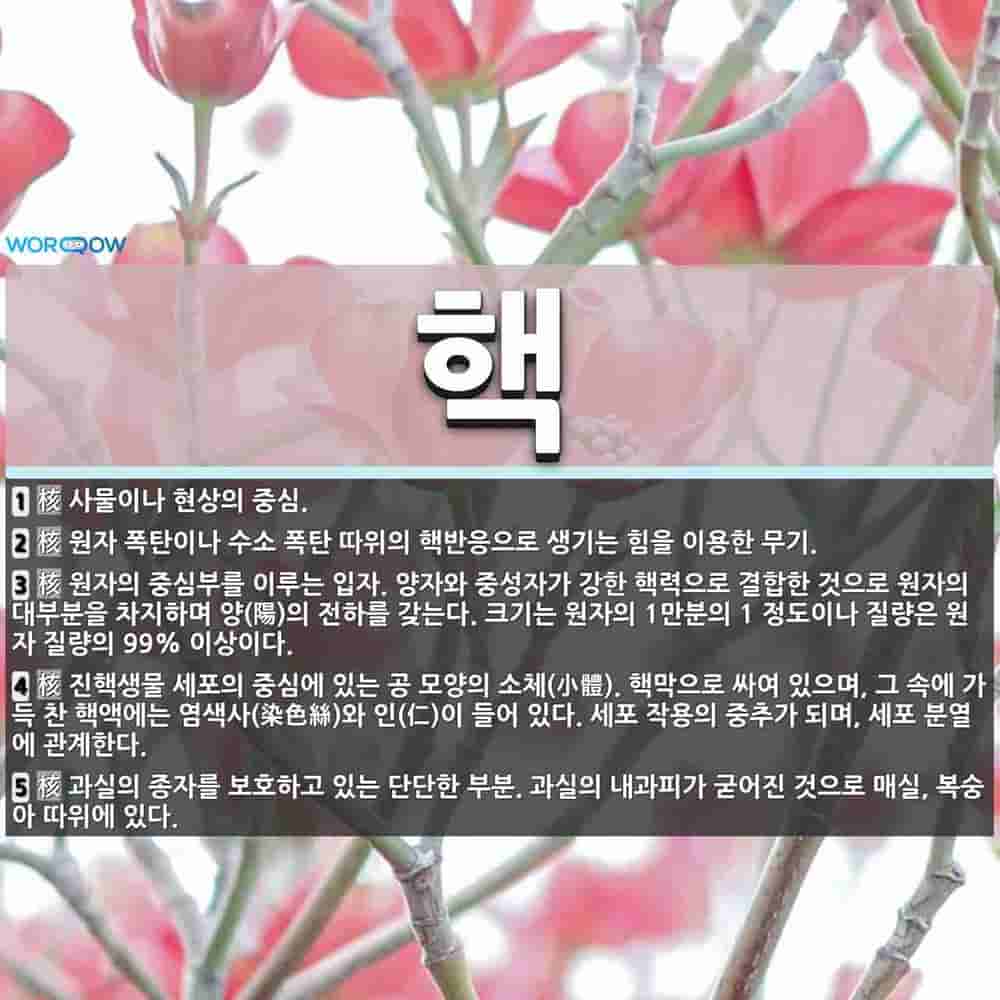50d3327b-9c87-4179-a27f-e63a790b9c83.jpg