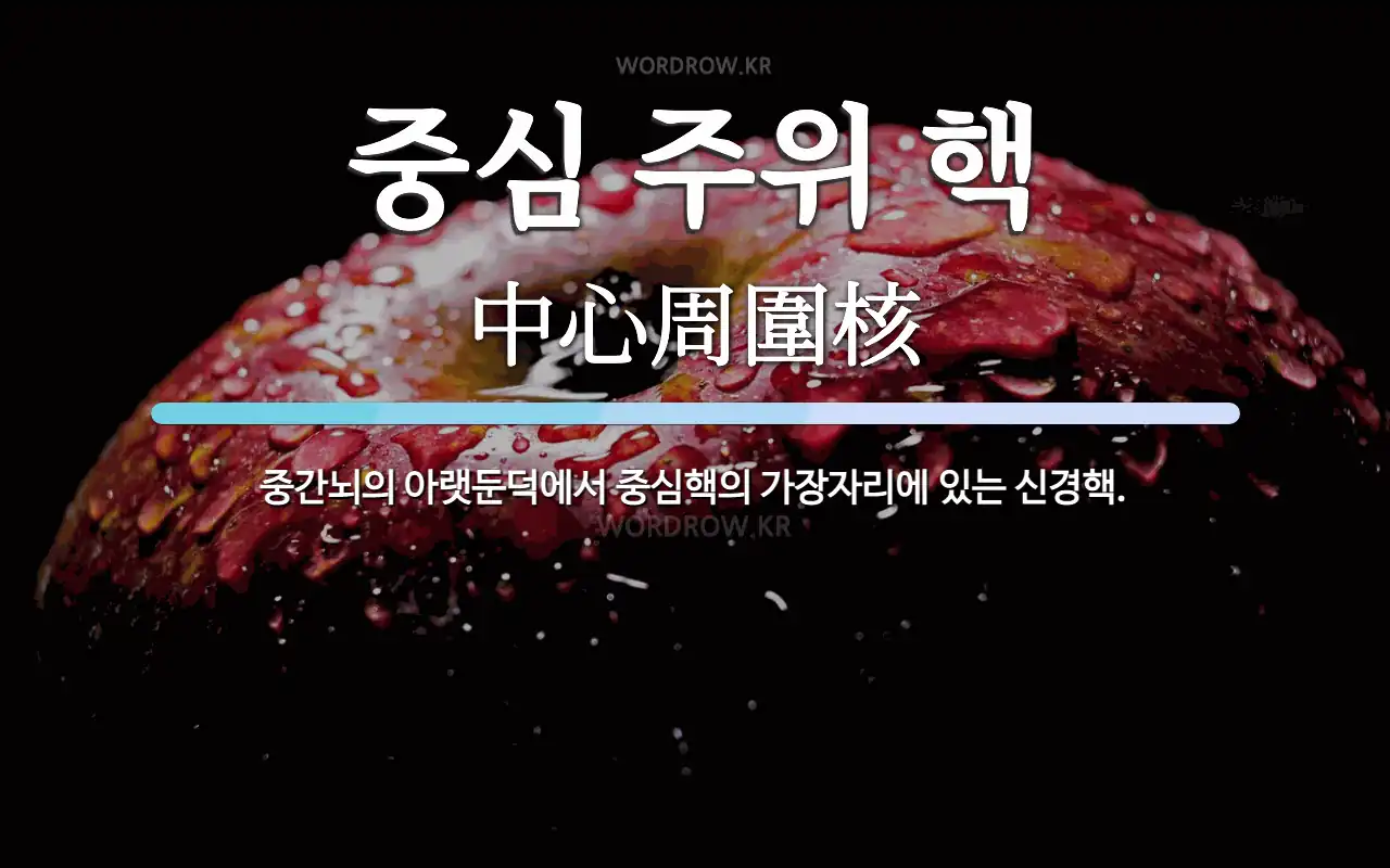 a72ff537-4303-4fd9-b927-a4afdee8df34.webp