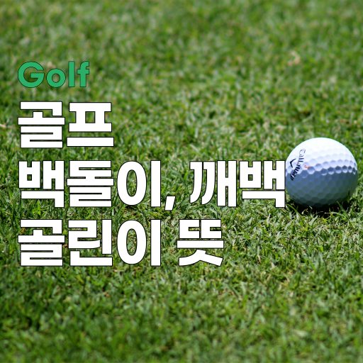 fa903bc1-a3d5-48a4-abbd-642e01f9840c.png