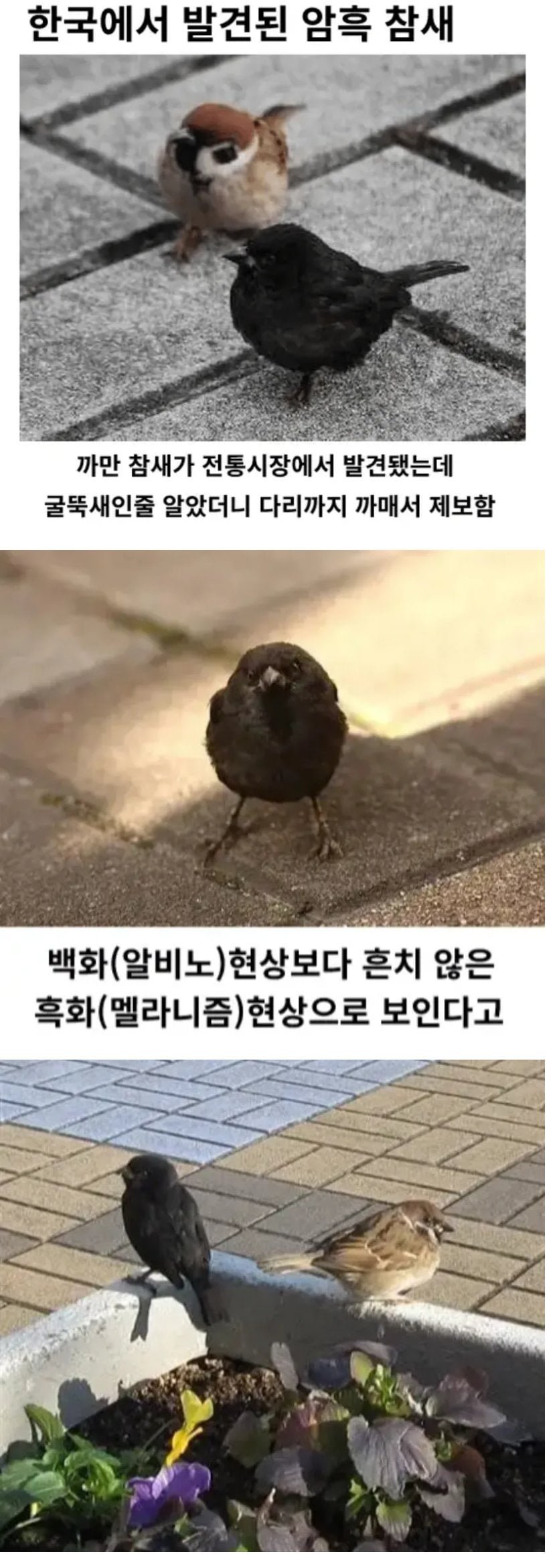 20260724202156_o7ECrLmEEp.png