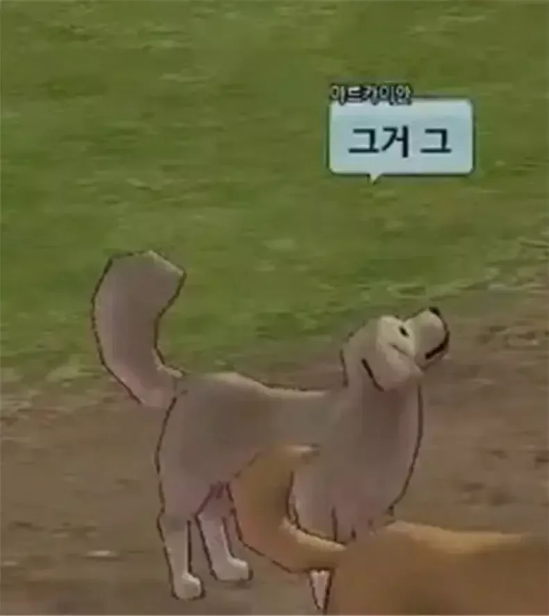 20260723180852_B7Yzo9MFea.jpg