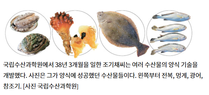 IMG_3440.png 회 먹을 때마다 감사한 인물 GOAT