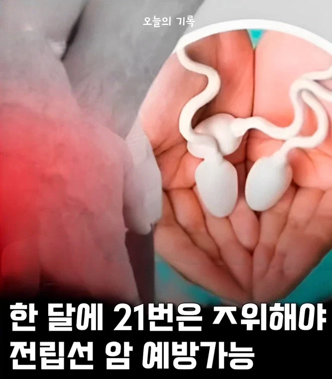 20260714182915_KoiQEwdYfV.webp