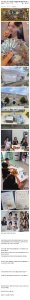 리센느 팬의 덕질