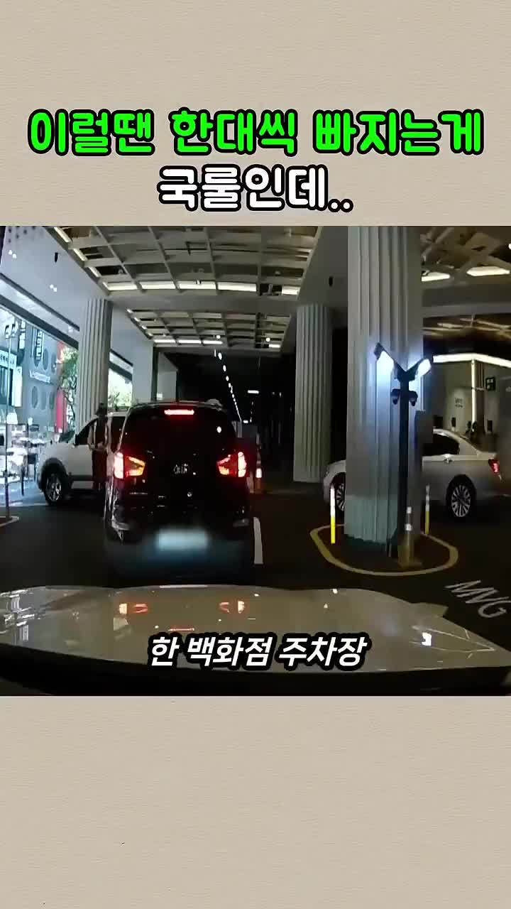 주차장 국룰 안지키는 카니발.mp4