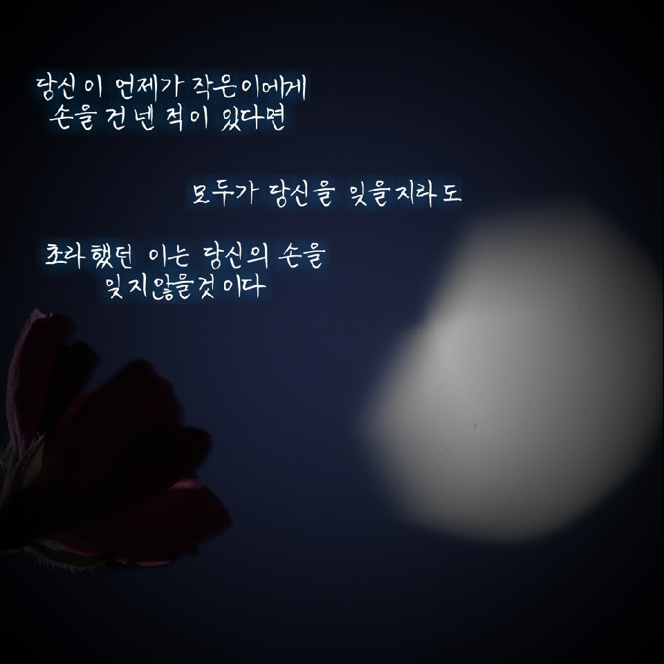 3a177c3d-257c-4f6e-a21d-5a13cae90d06.jpg