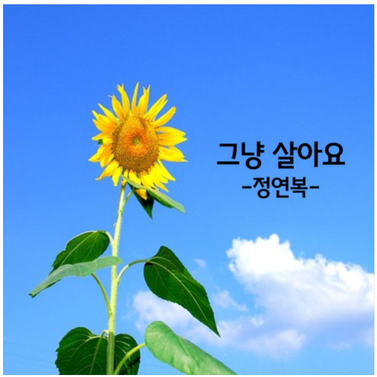 56a0b0db-3e13-440f-a7ed-dfa3112da394.png