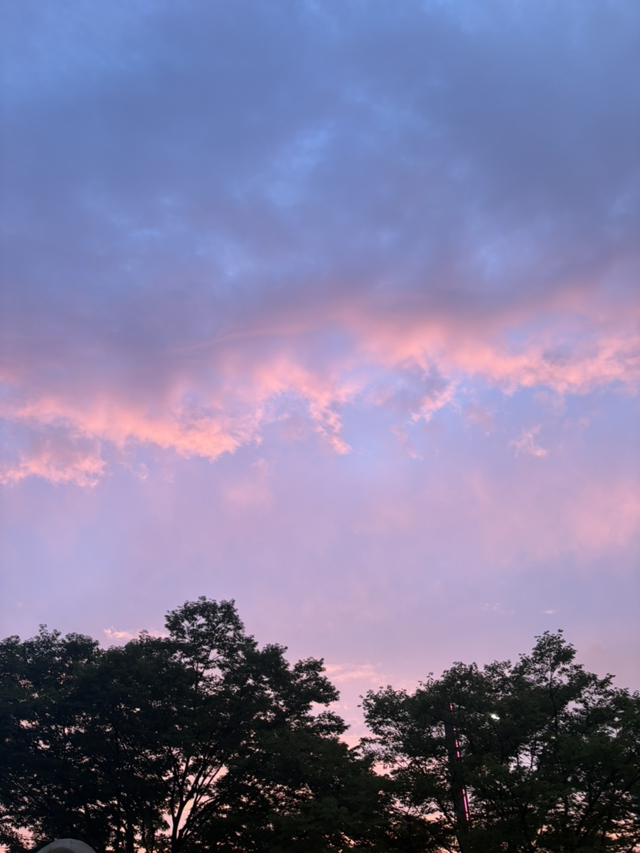 c5b73924-866d-4460-808b-9aa402c3bb63.jpg