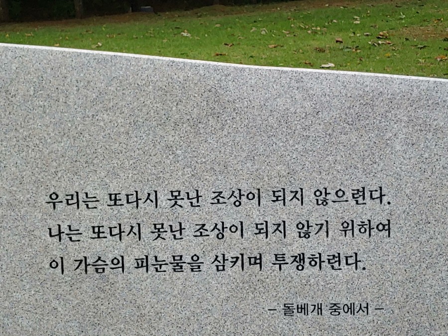 02c49054-0ae9-4654-8dbe-a41911d06fc3.jpg