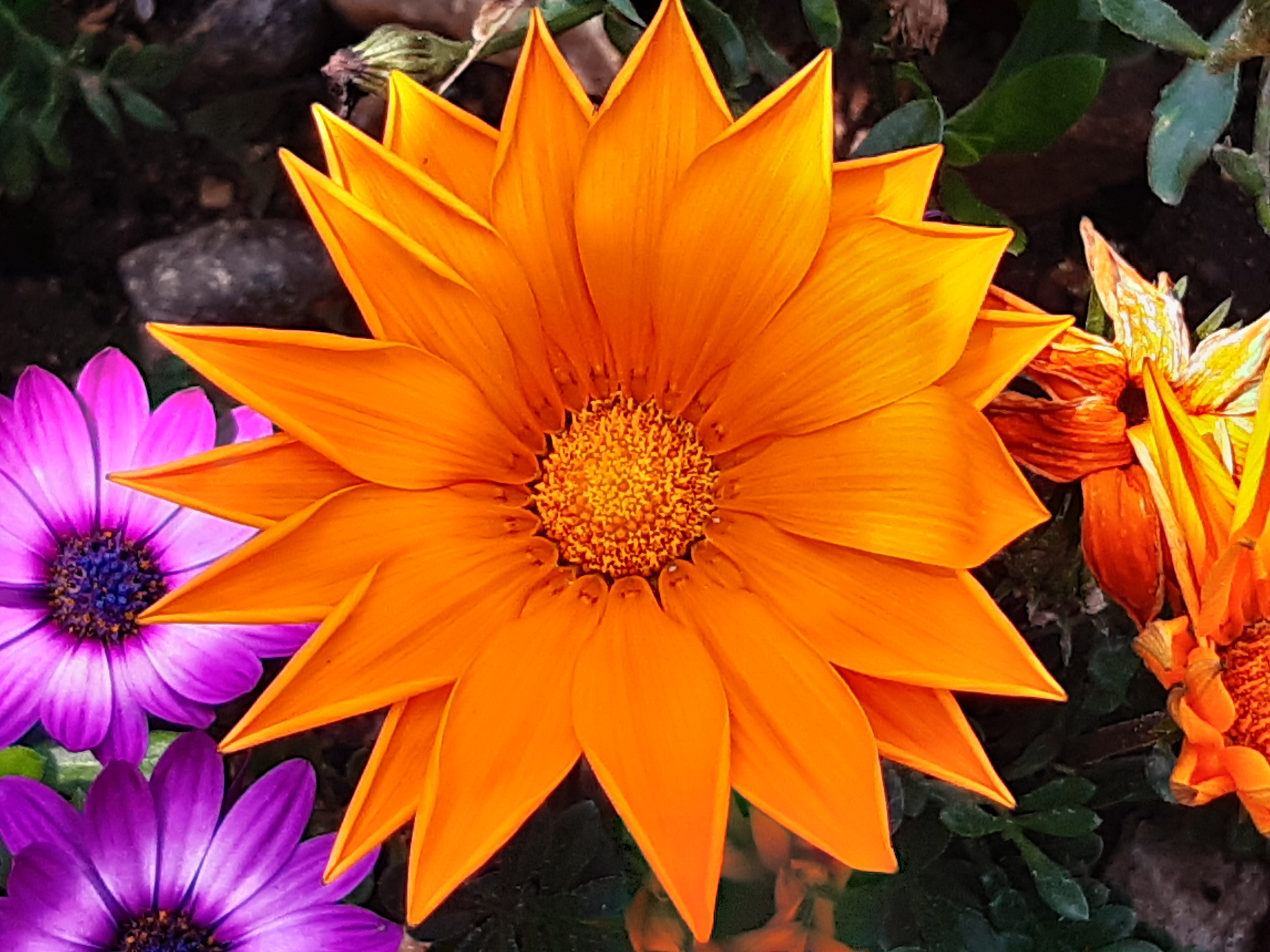 04894c68-2aed-43cb-a67d-98110a16d44a.jpg