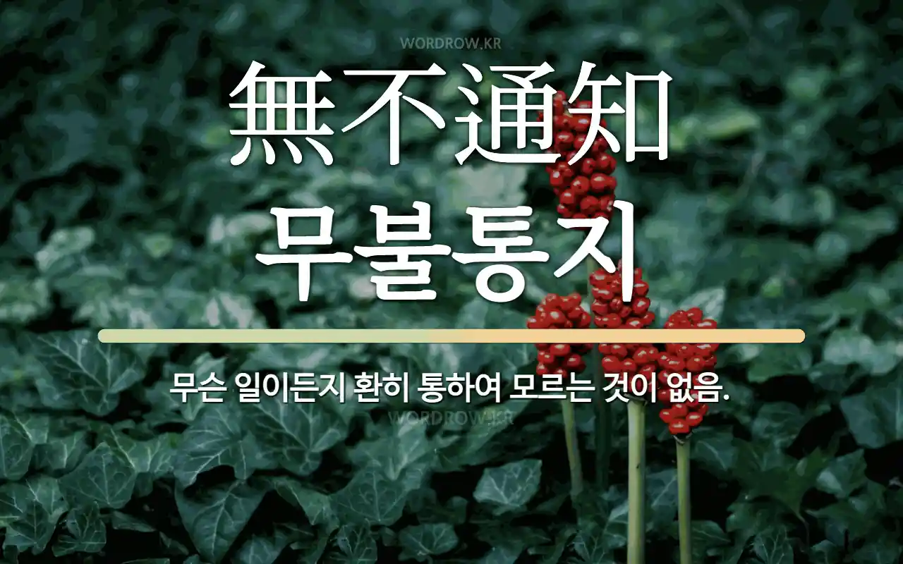 0952e7bf-01bc-4058-80be-49d509d6cc38.webp