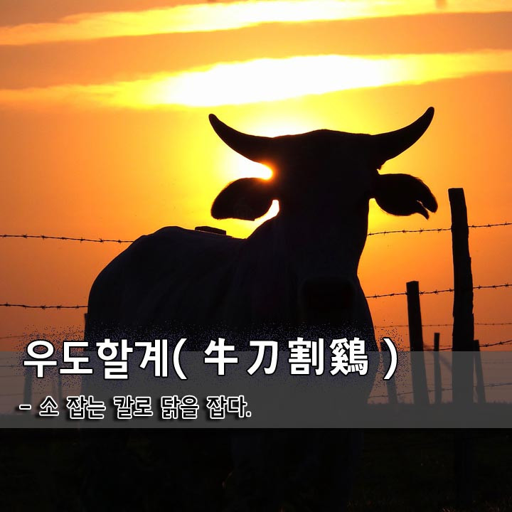 09fe3a78-8fea-4c58-874c-347b45b948c9.jpg