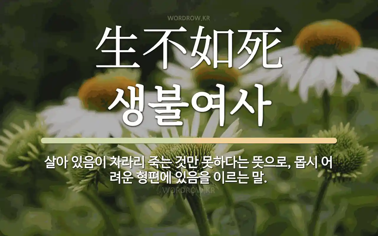 1016ebc8-dfc6-401c-9d0f-9e44b7c7bbe1.webp
