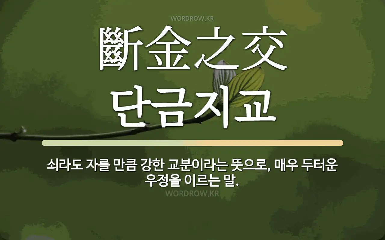 18a4e1ed-5dbe-424d-b680-96f703595d5a.webp