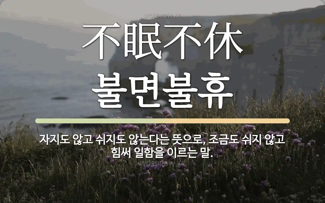 1914efd4-8773-449b-b5df-9fb52e2ce7f5.webp