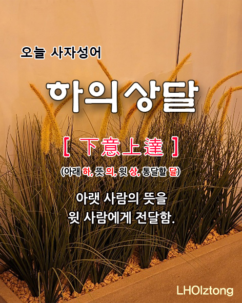 21f23032-ad85-4e75-a940-47bdabaaabcd.jpg