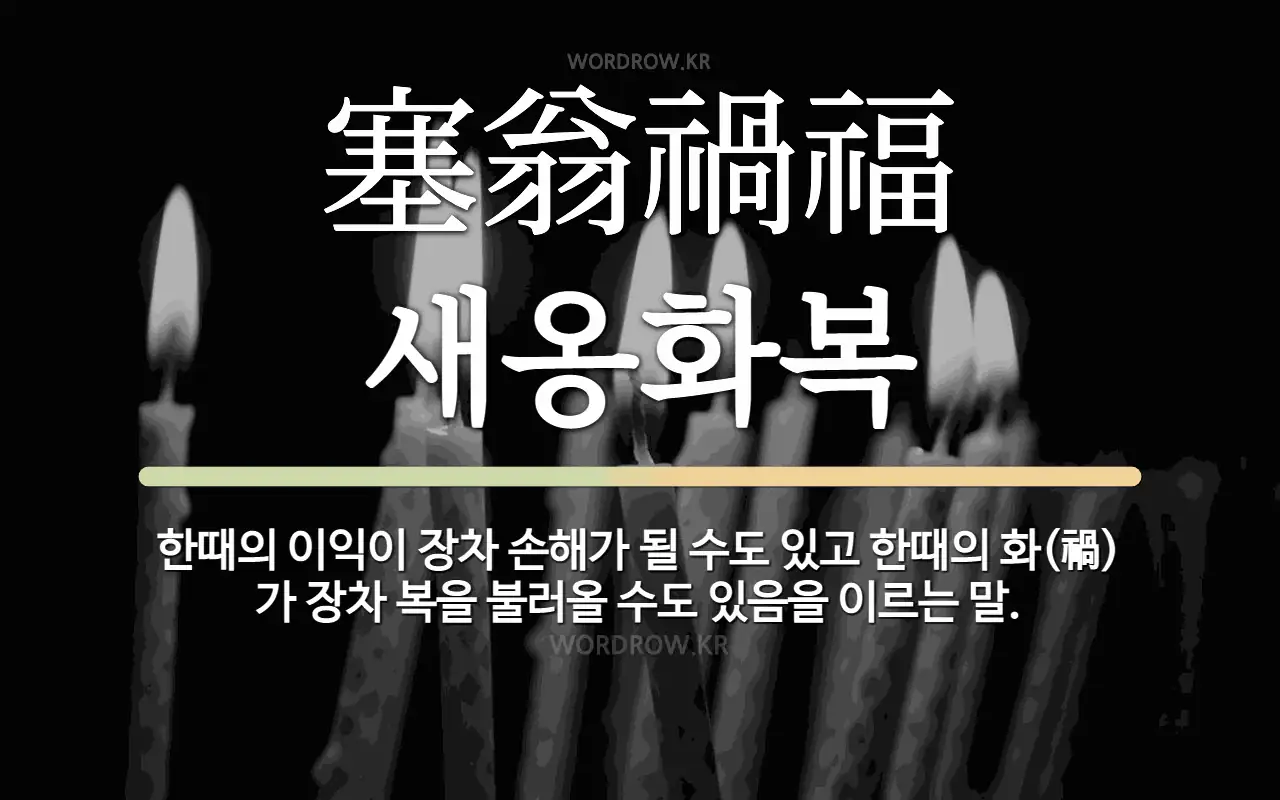 246ea65e-b3cc-45b0-8efc-abc9725ebc54.webp