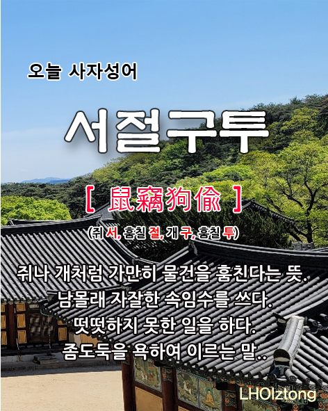 2d9a350c-846c-406f-a450-d0b44d0b1393.jpg