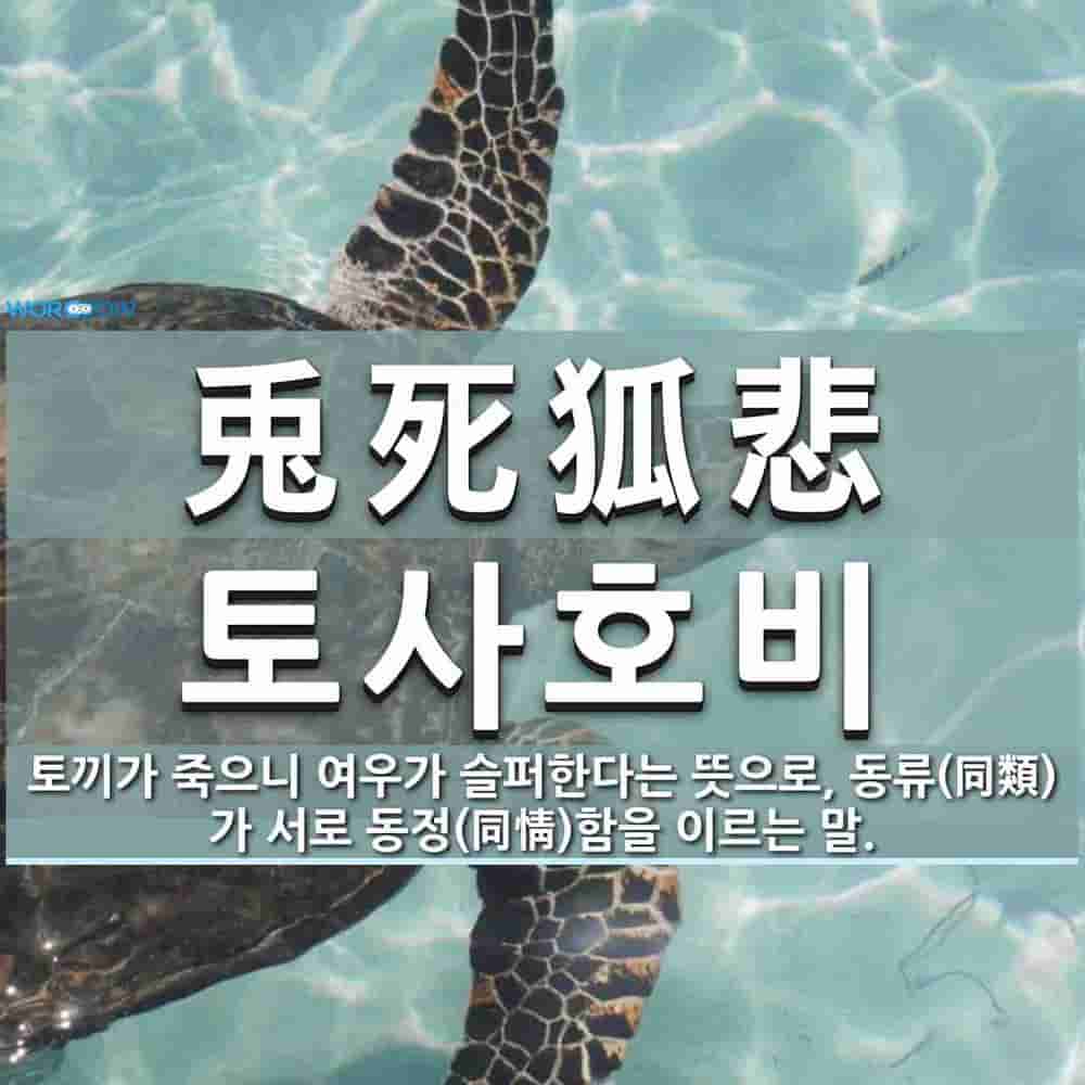 2f76ed49-38e5-44e9-b6a0-ae126d0ecb39.jpg