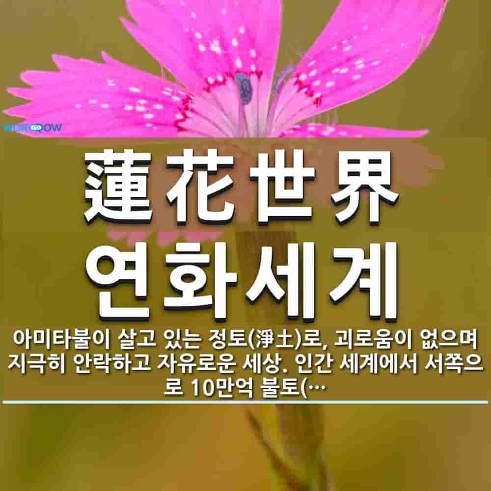 3180e20d-176d-4b5b-b91e-51a475c3847b.jpg