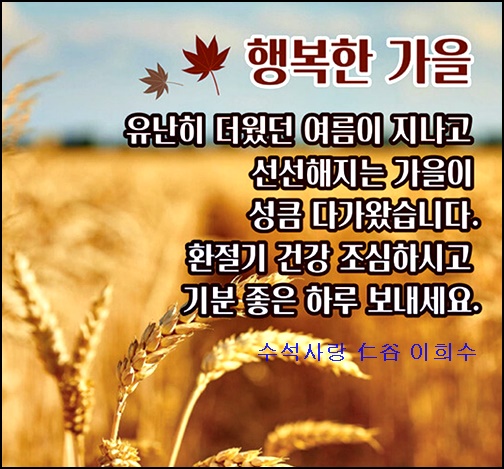3603f977-33ae-4759-bd93-d06cb953b29e.jpg