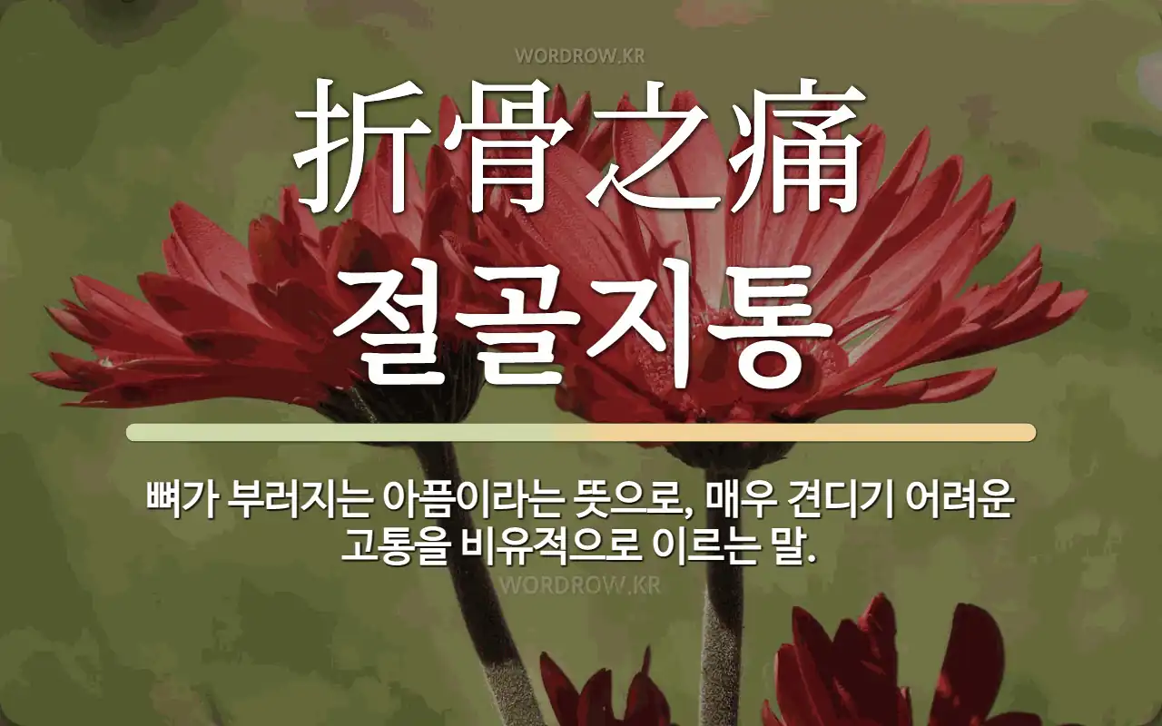 46c7be82-dcf9-43a9-8319-6ee0e952ac5d.webp