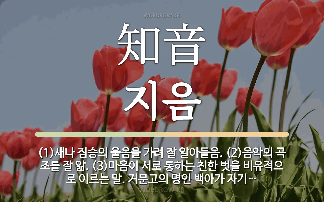 564d7787-827b-4096-b58b-119da06453f2.webp