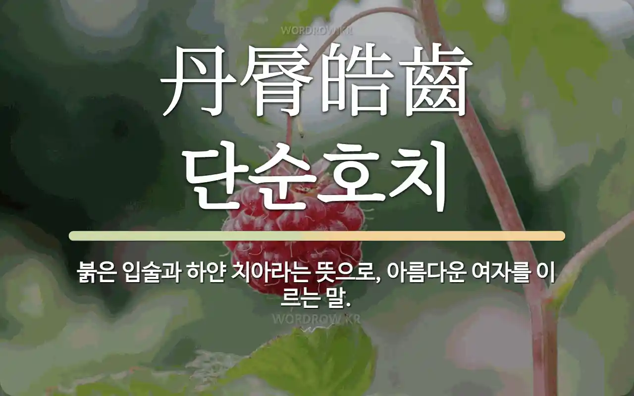56a4eb22-a4fb-40fd-bf63-3c7d3a455405.webp