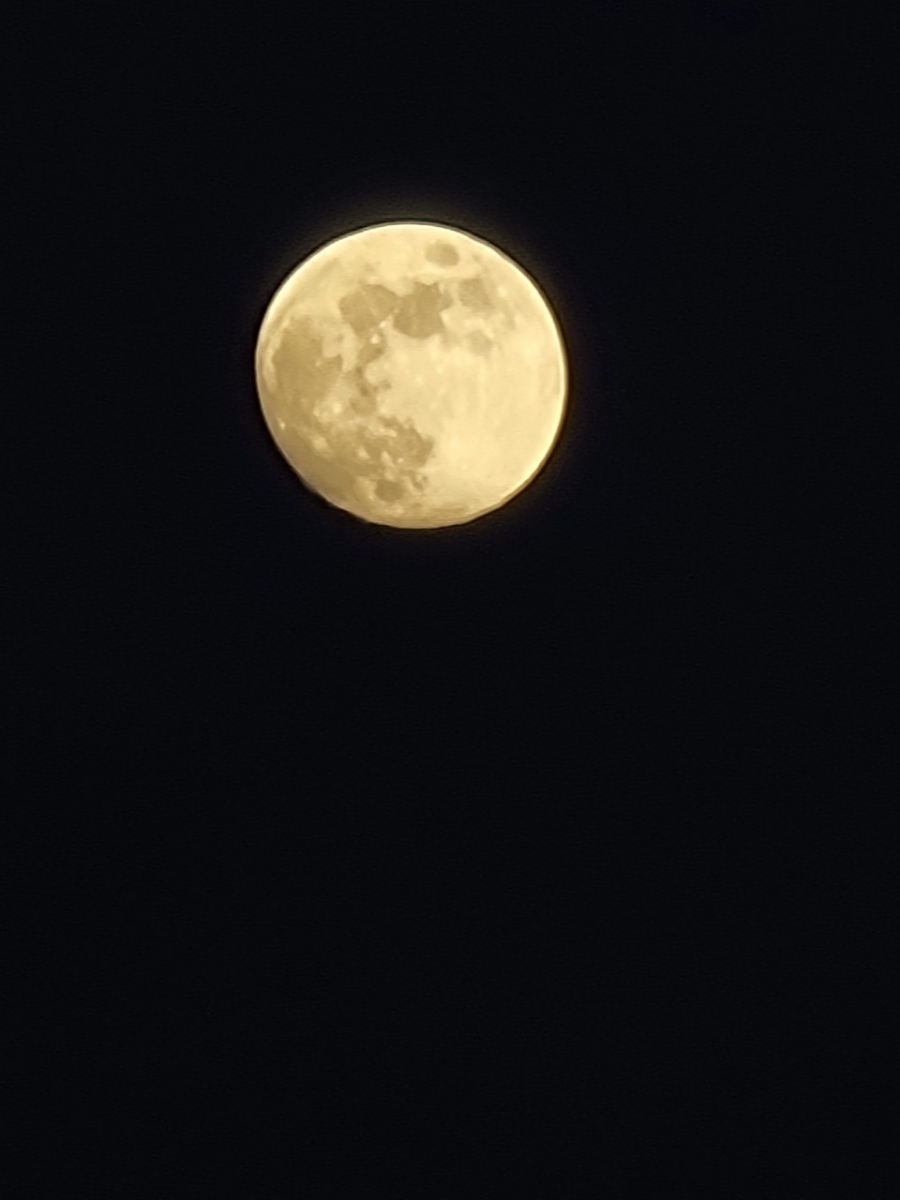 68a7380c-55e1-4805-90b9-b77276cf1293.jpg