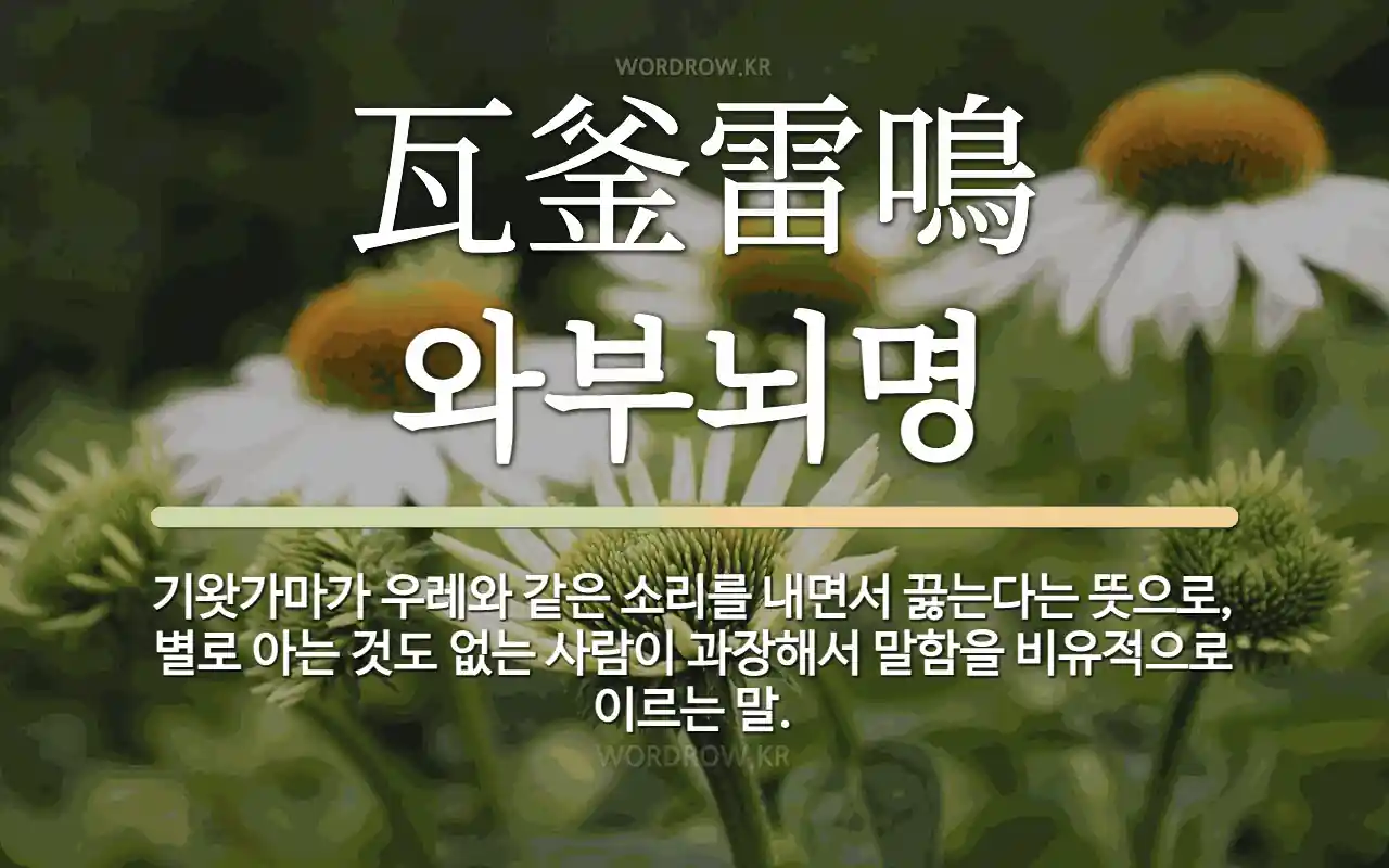 7c52a887-30b6-435b-ac1c-a81638976713.webp