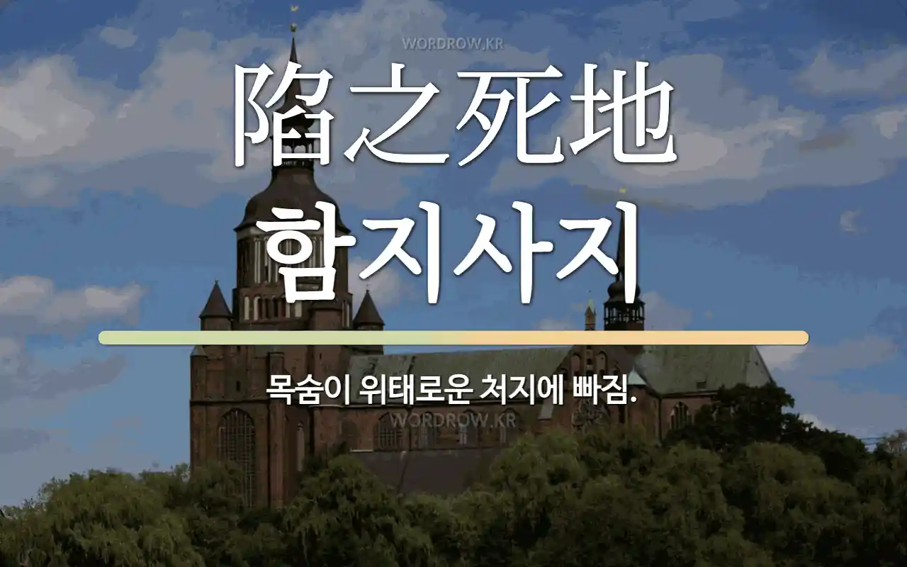 8329c4d6-8b58-4c94-90d6-a5bd55835dd0.webp