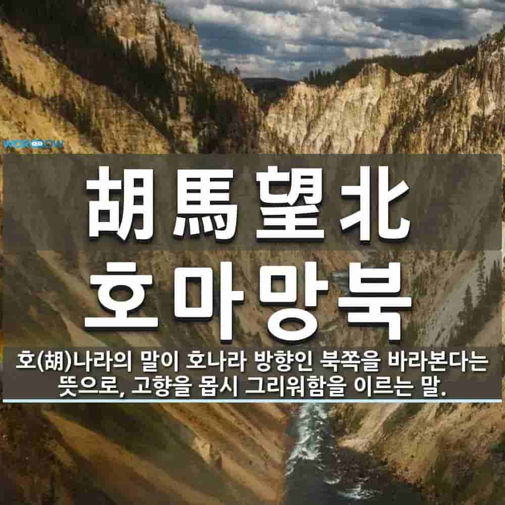 859a9352-581f-4376-804f-6fb81c471176.jpg
