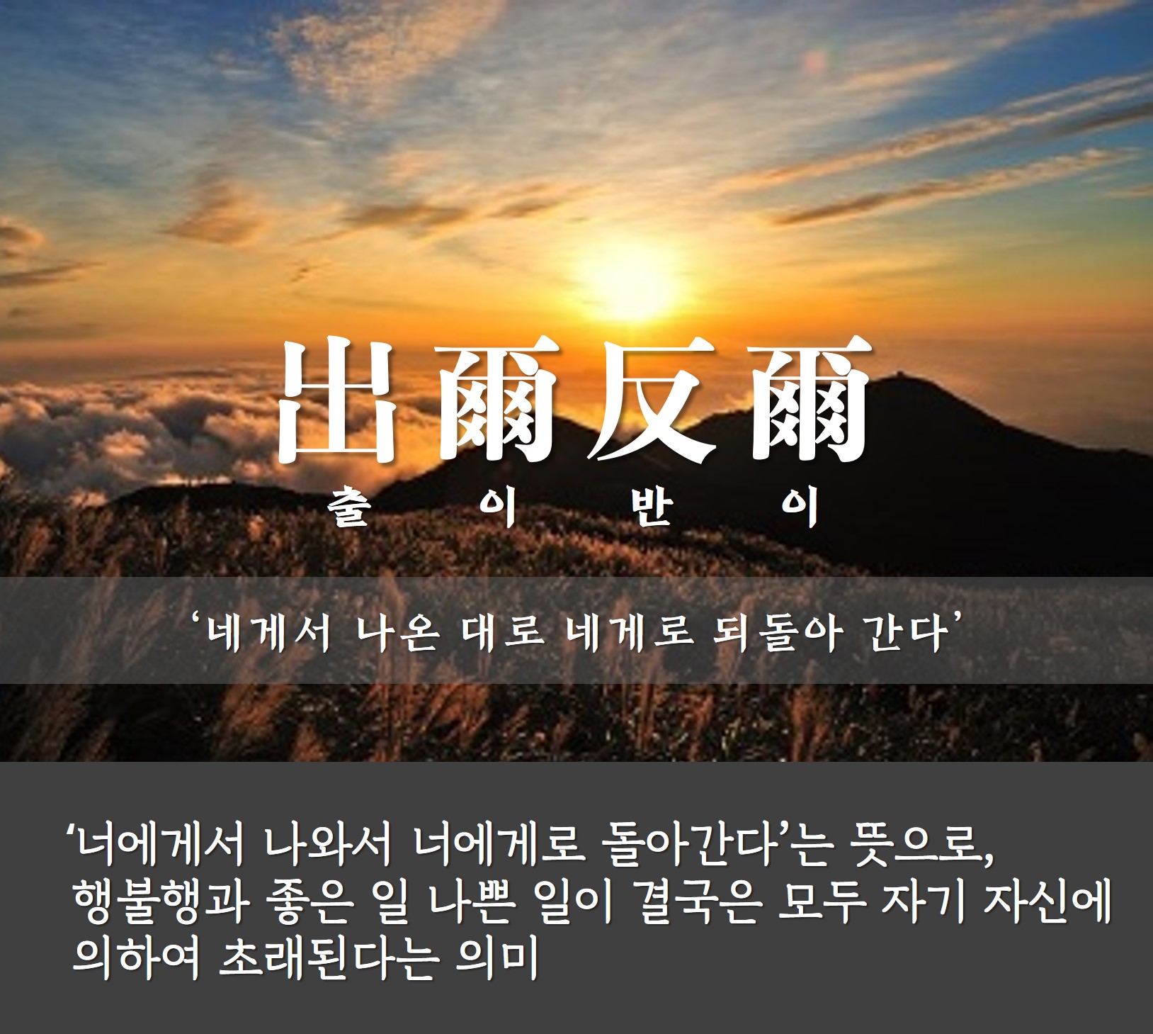 8929c3ea-f7a7-4bd2-b9c7-837668583652.jpg
