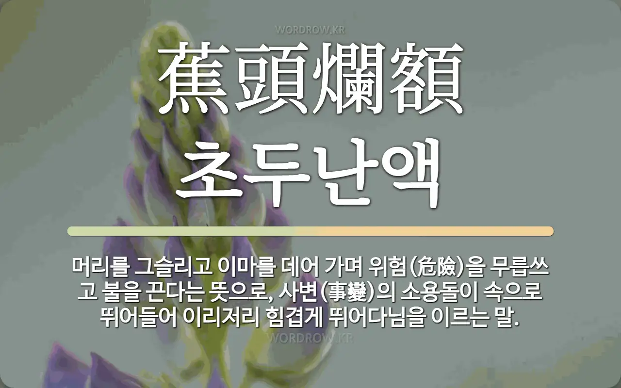 9293bfbe-06d9-4ec5-9133-f691c743b010.webp