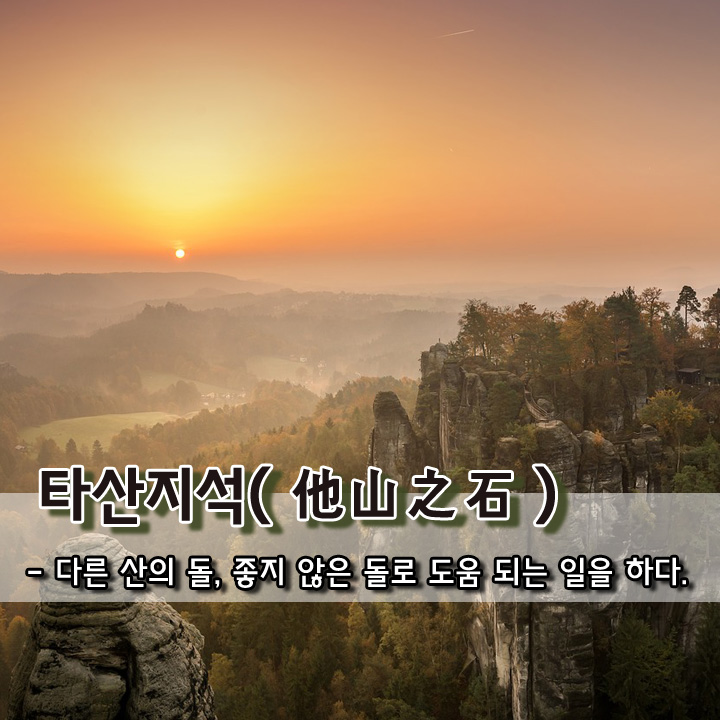 981c9b05-3612-4be0-9ed8-751b7a3b7709.jpg