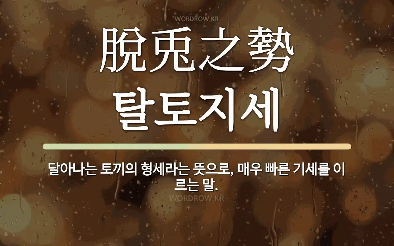 a0170ef7-3f5f-45c9-9bbe-8f1957eb7f8a.webp