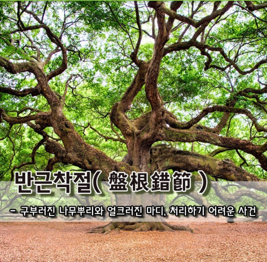 a42c0a95-1cc5-4639-ba08-e40b938f2933.jpg