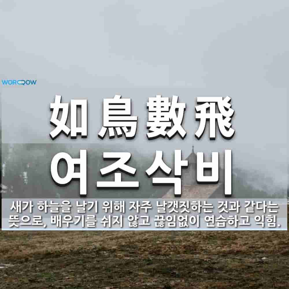adbd8088-fb9a-4a8f-8646-8bcb40950bf4.jpg