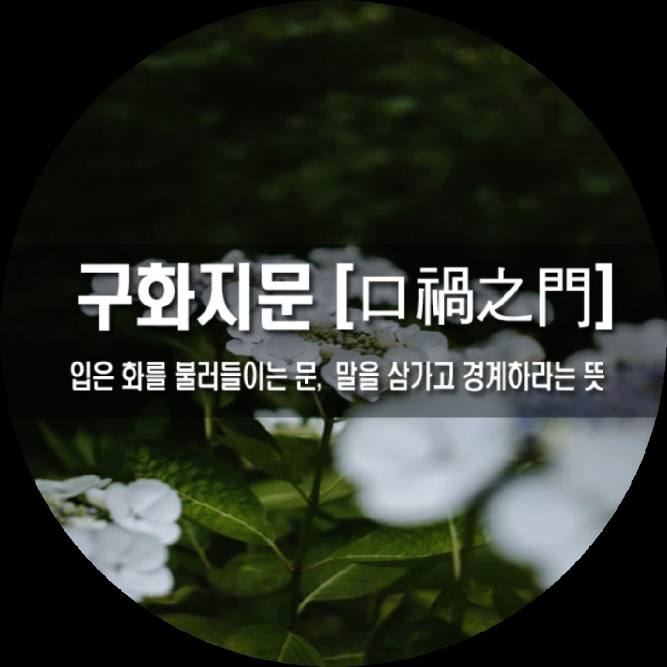 aedc5fe1-1ff3-4568-bf86-24eb41a5897a.jpg