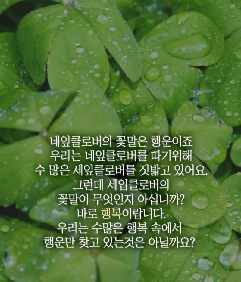 b3258cb4-13e6-4d47-8553-35f44a2d19c3.jpg