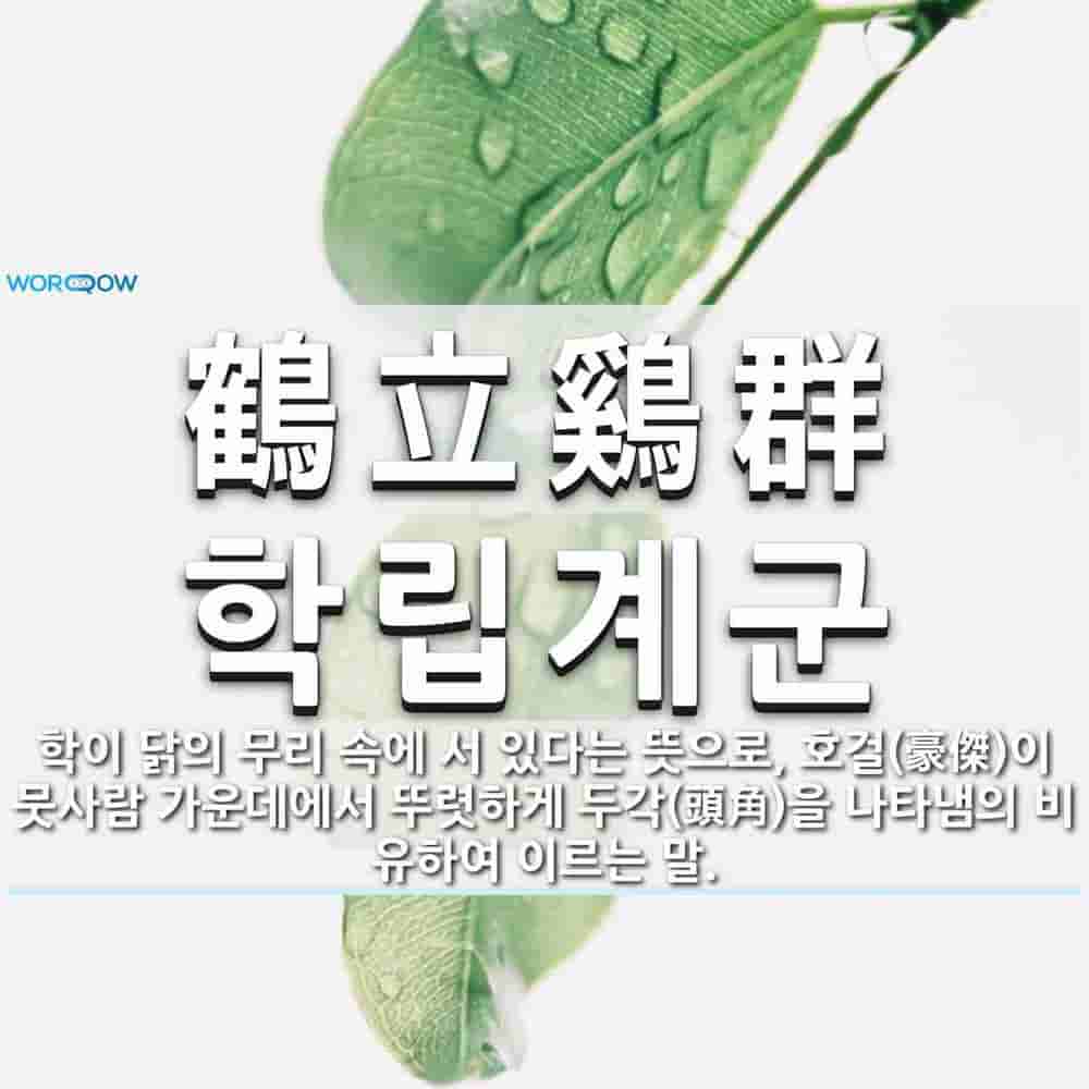 b3714aec-8c5f-42fb-9a36-848f02c40d85.jpg