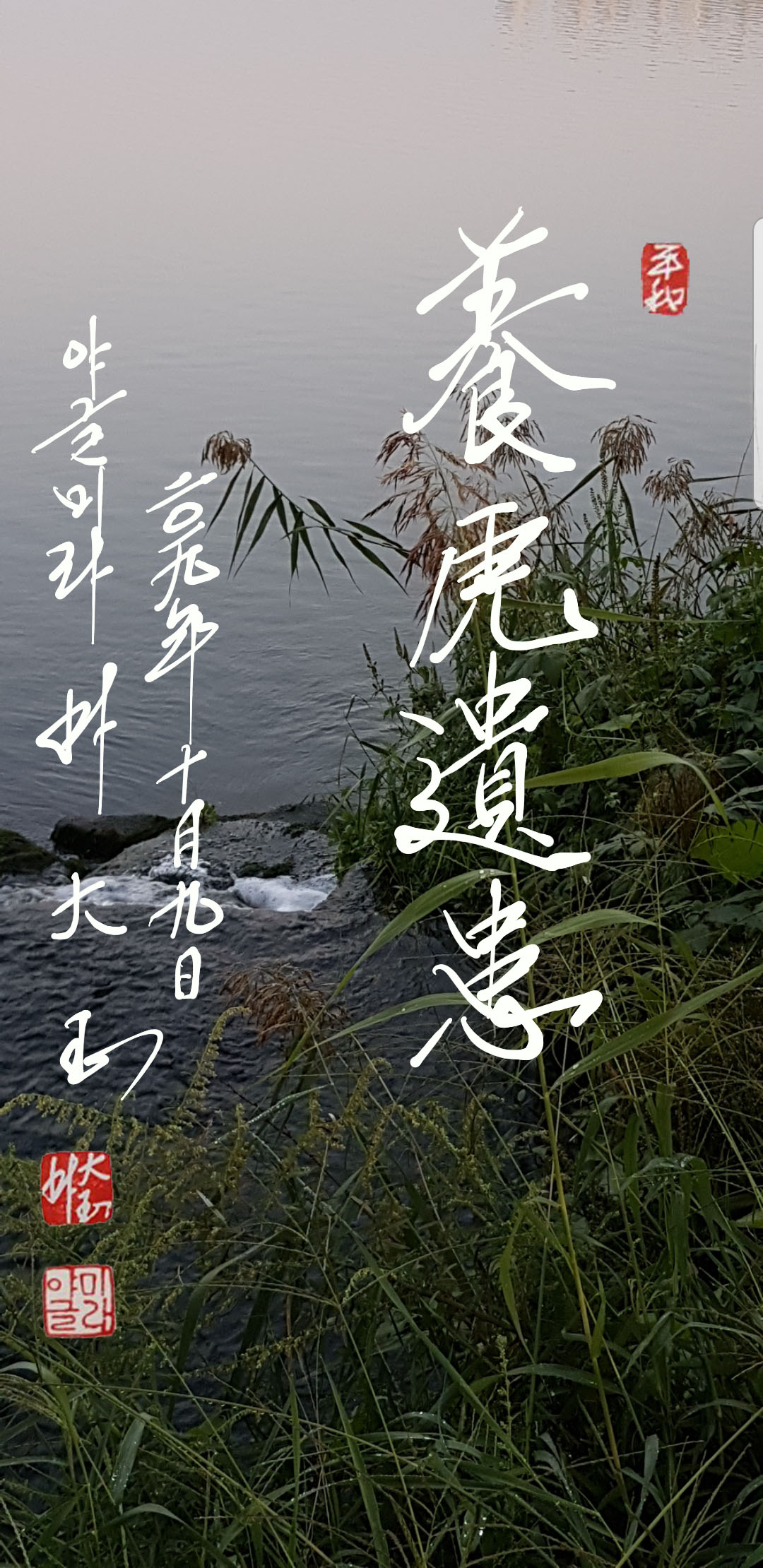 b99a8a2e-5e9d-494b-b50b-a8f746a7eb6d.jpg