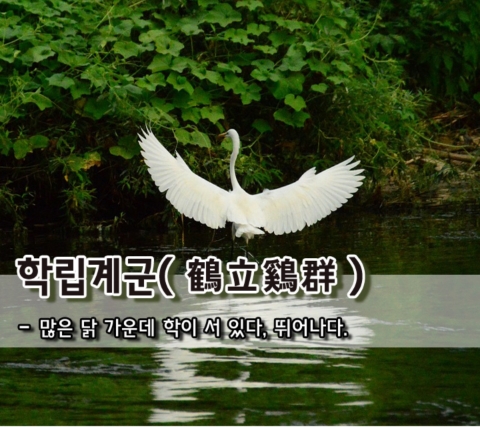 bab5efef-9acd-4101-9e4c-2a3e09b8dafd.jpg