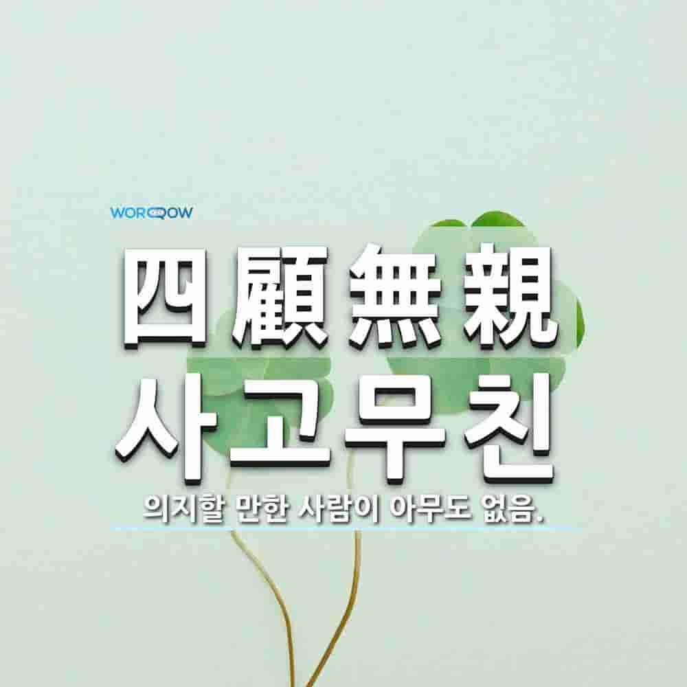 bb96ed96-bd07-40e9-8a9a-e919f5b45543.jpg