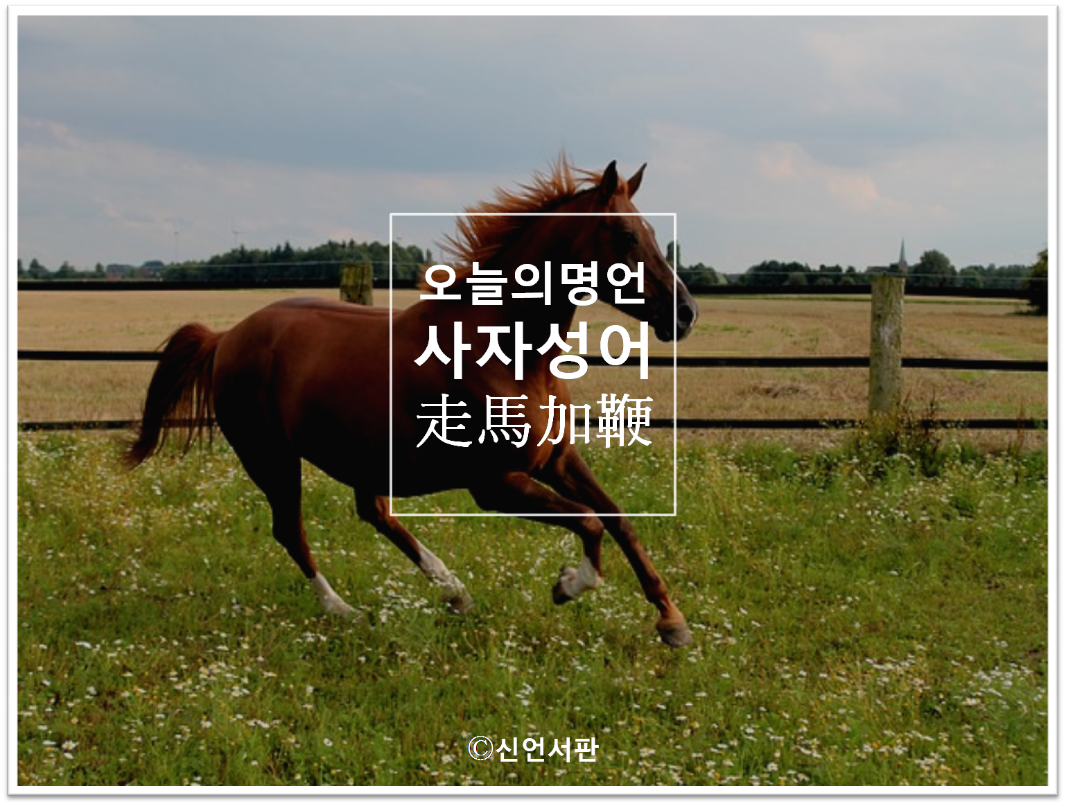 c5eacf98-6063-4ce3-b773-d406fb6282b9.png
