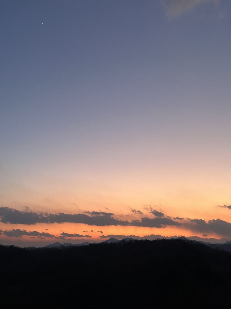 cc0dfcbc-321b-4eca-810a-63897a78ca09.jpg