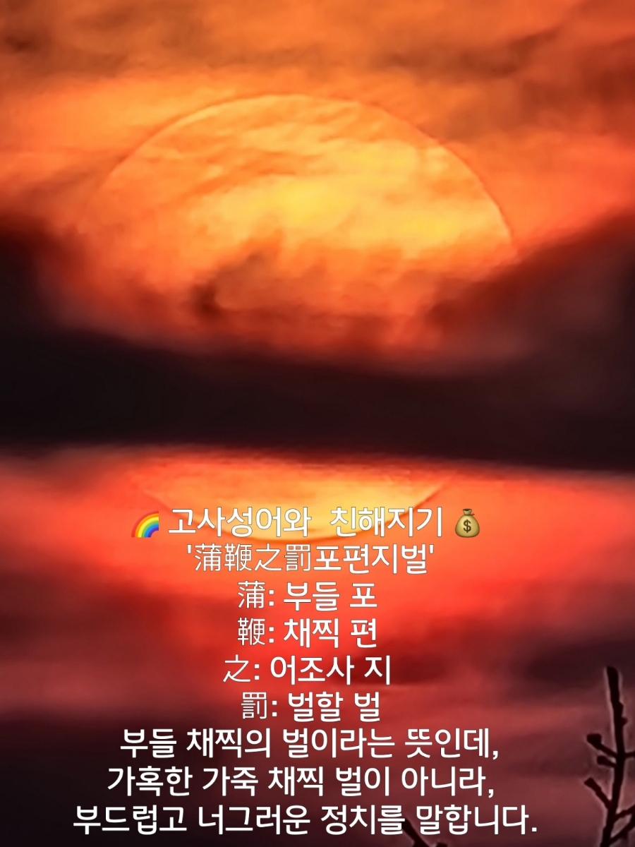 cf0e2b90-cf18-4edf-be3e-448ebcdb2145.jpg