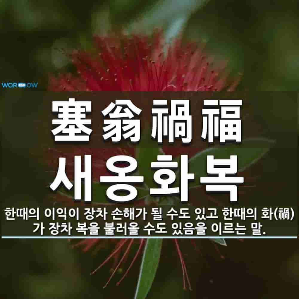 d26cbbe3-585a-443f-9ee4-6de56ab001bd.jpg