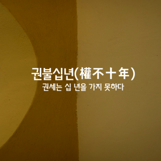 d5307ecc-fcc1-4d09-956f-939c577354e5.png