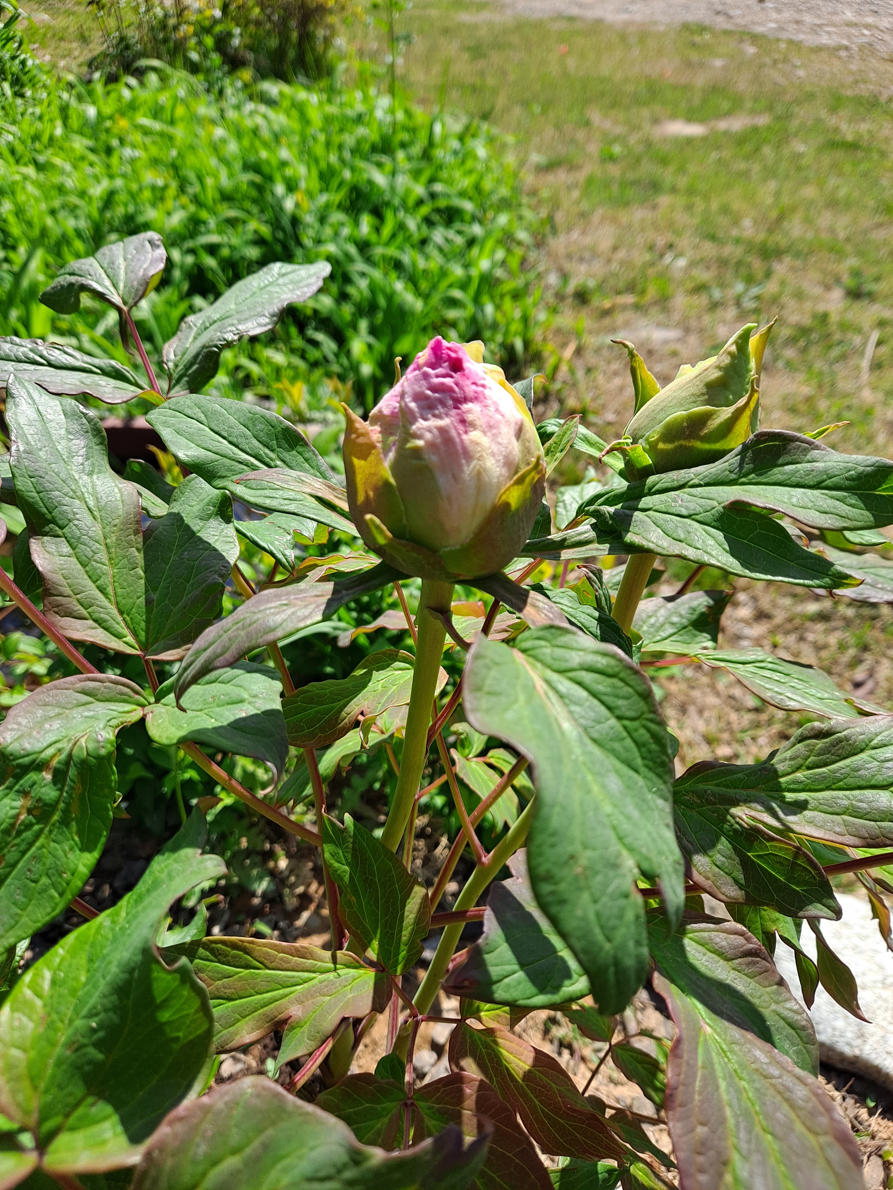 d5673b14-abed-4a36-8f54-b361ef2d51f8.jpg